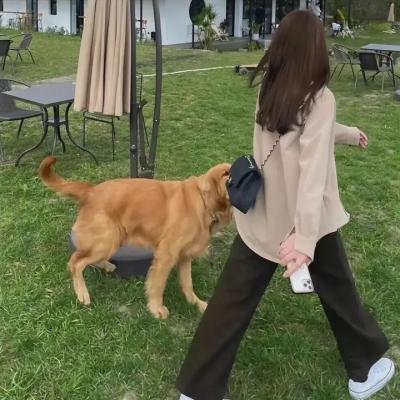 警犬巴打粤语